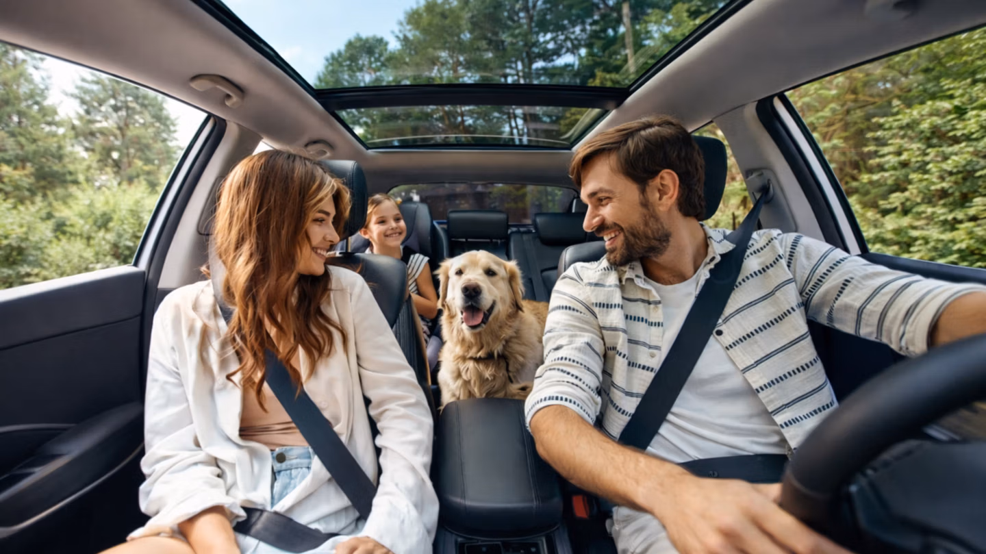 Diversificación en Créditos en Linea y PyMES