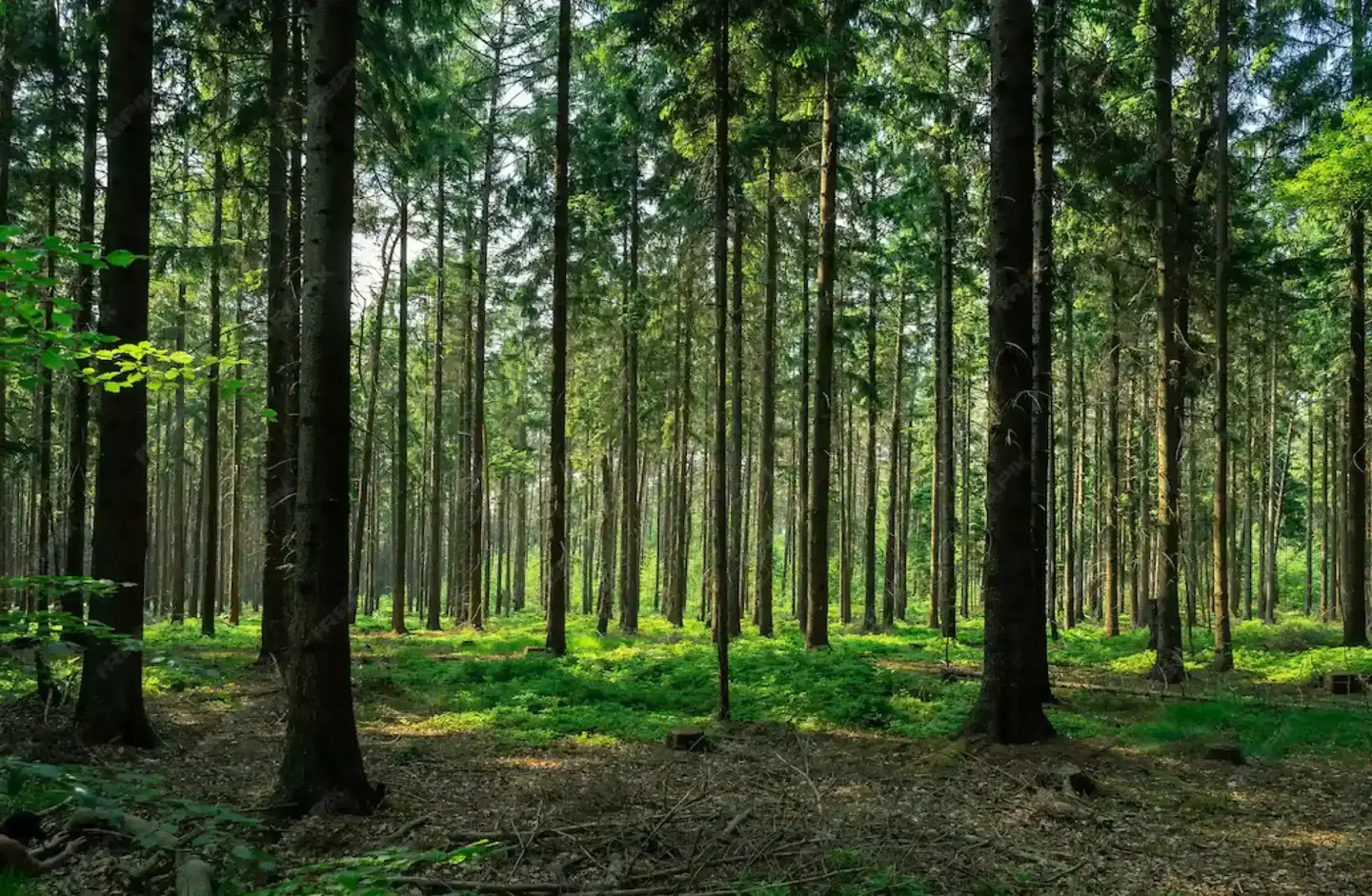 En México casi nadie te explica tu dinero
Nosotros sí